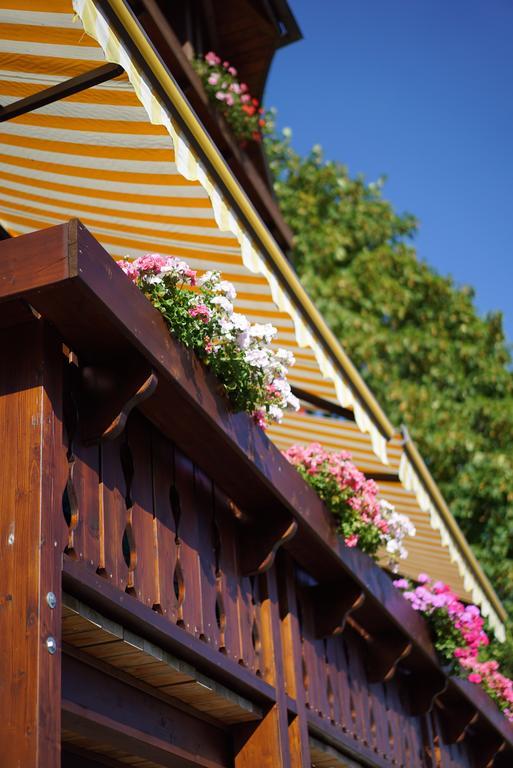 Hotel Hohengasthof Rossle Schluchsee Zewnętrze zdjęcie