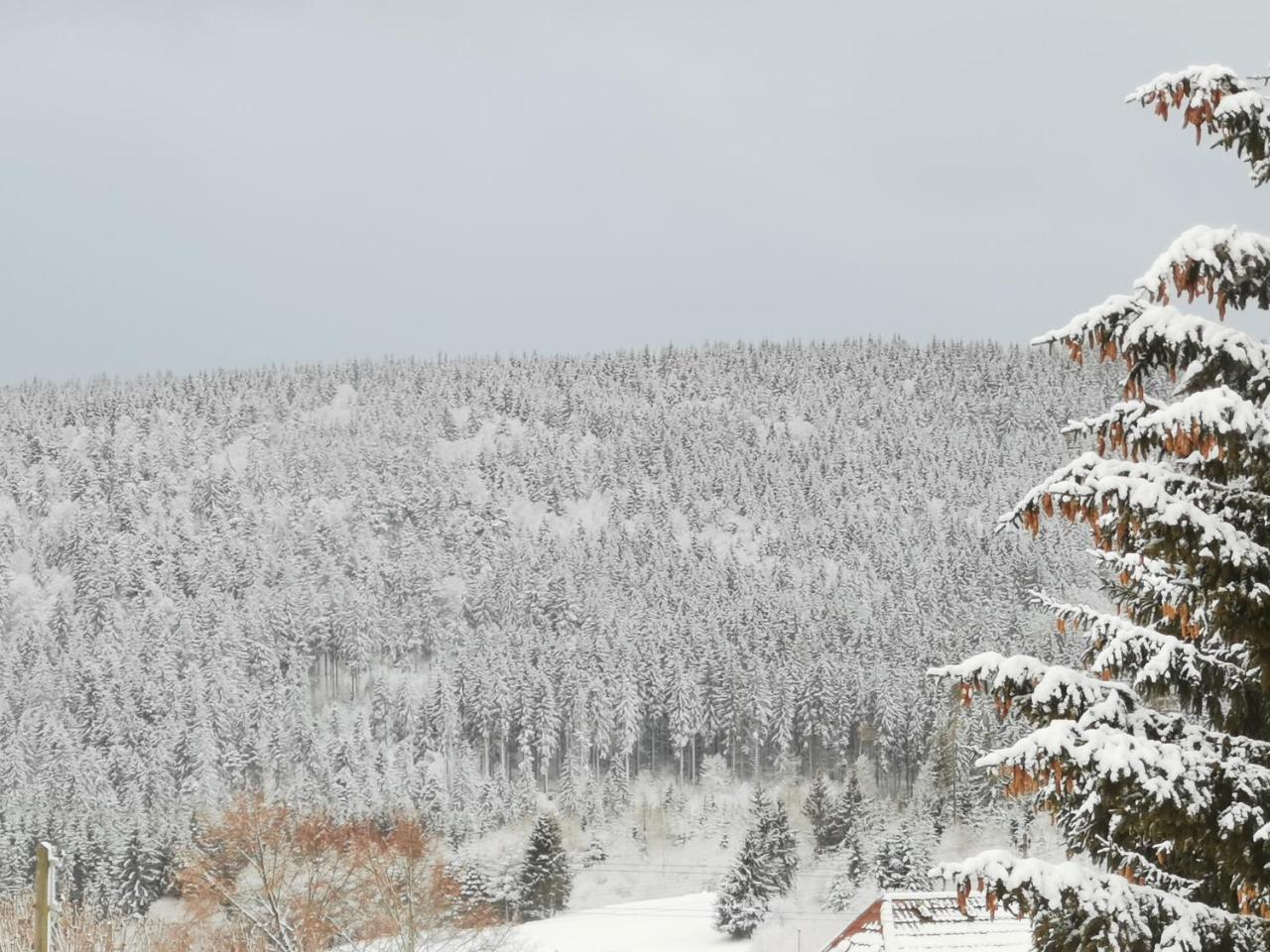 Hoehengasthof Roessle Schluchsee Zewnętrze zdjęcie